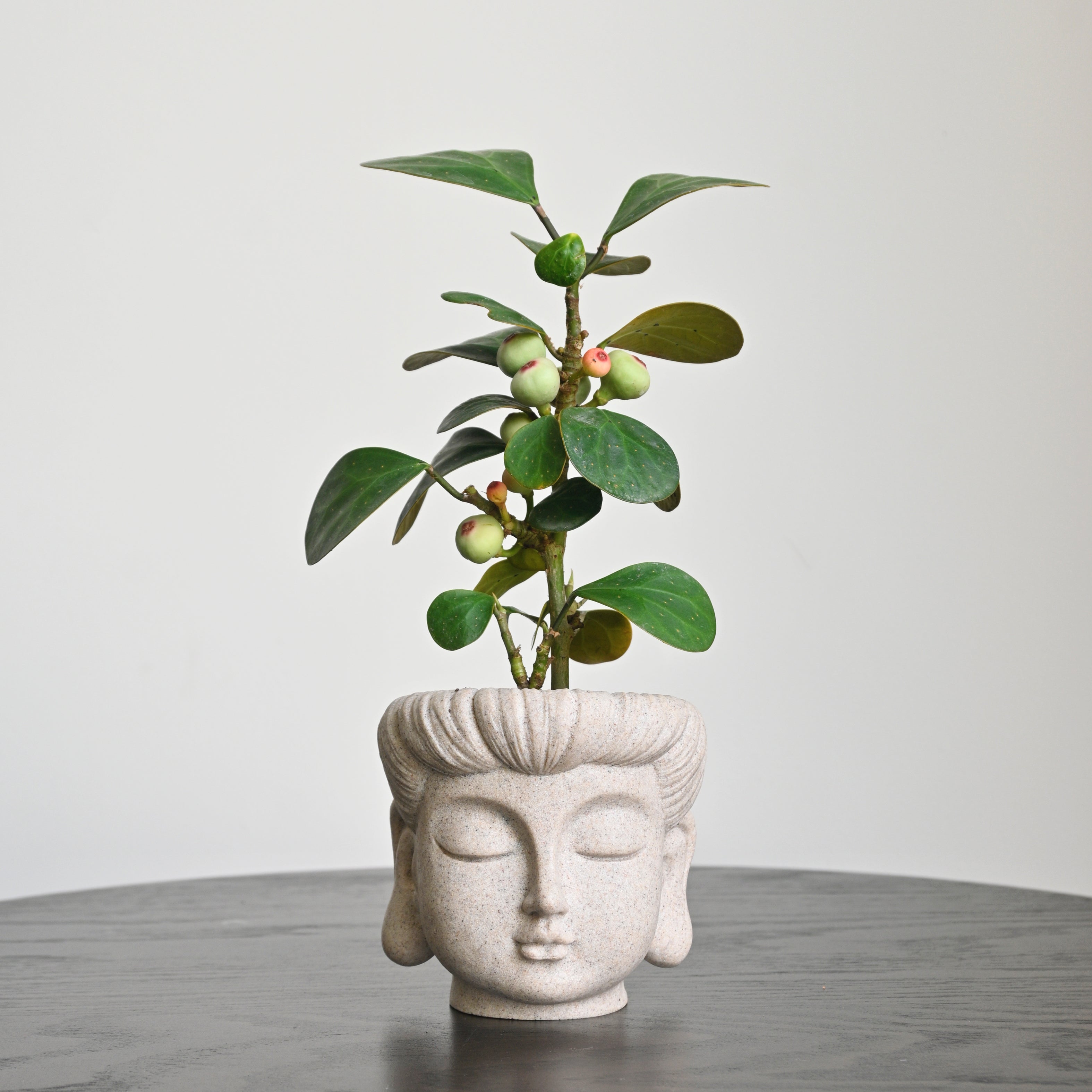 buddha head plant pot Buddha Statue Planter