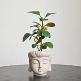Buddha Statue Planter