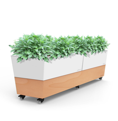 Cafe Planter