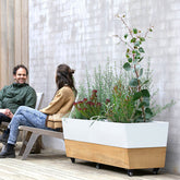 Cafe Planter