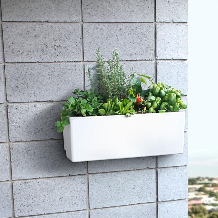 Self watering white balcony planter box Self watering white balcony planter box