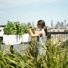 Self Watering Rail Planter Mounted on Balcony
