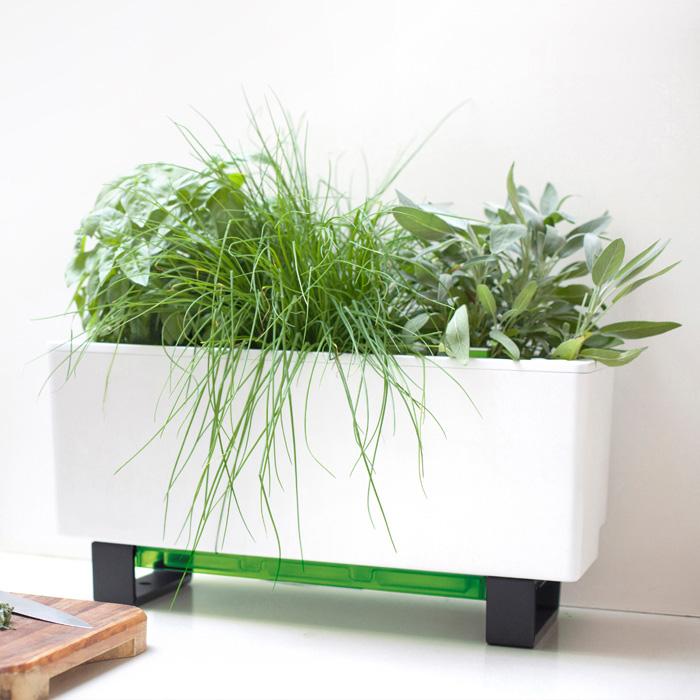 Mini Bench Self Watering Planter Mini Bench Self Watering Planter