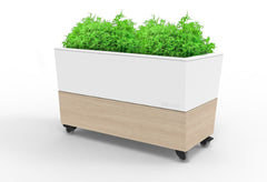 Cafe Planter