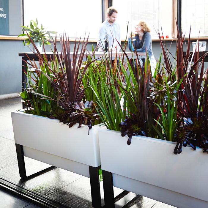 Two Modern Self Watering White Planter Boxes Two Modern Self Watering White Planter Boxes