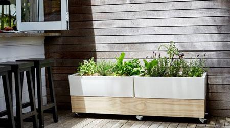 Spring Vegetable Planters