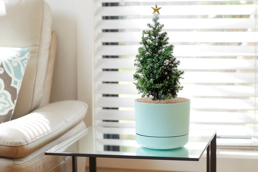 12 DAYS OF CHRISTMAS - So get 12% OFF our PLANTER RANGE!