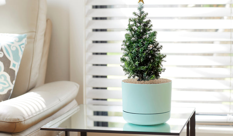 12 DAYS OF CHRISTMAS - So get 12% OFF our PLANTER RANGE!