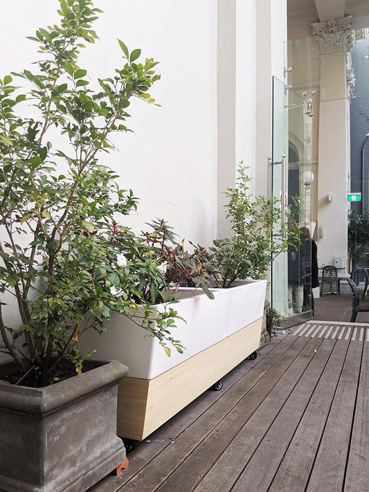 Verandah Café at Collins Street Baptist