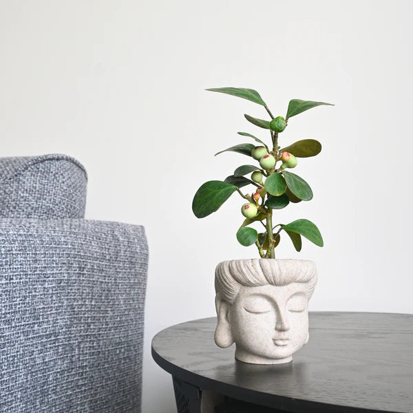 Buddha Statue Planter