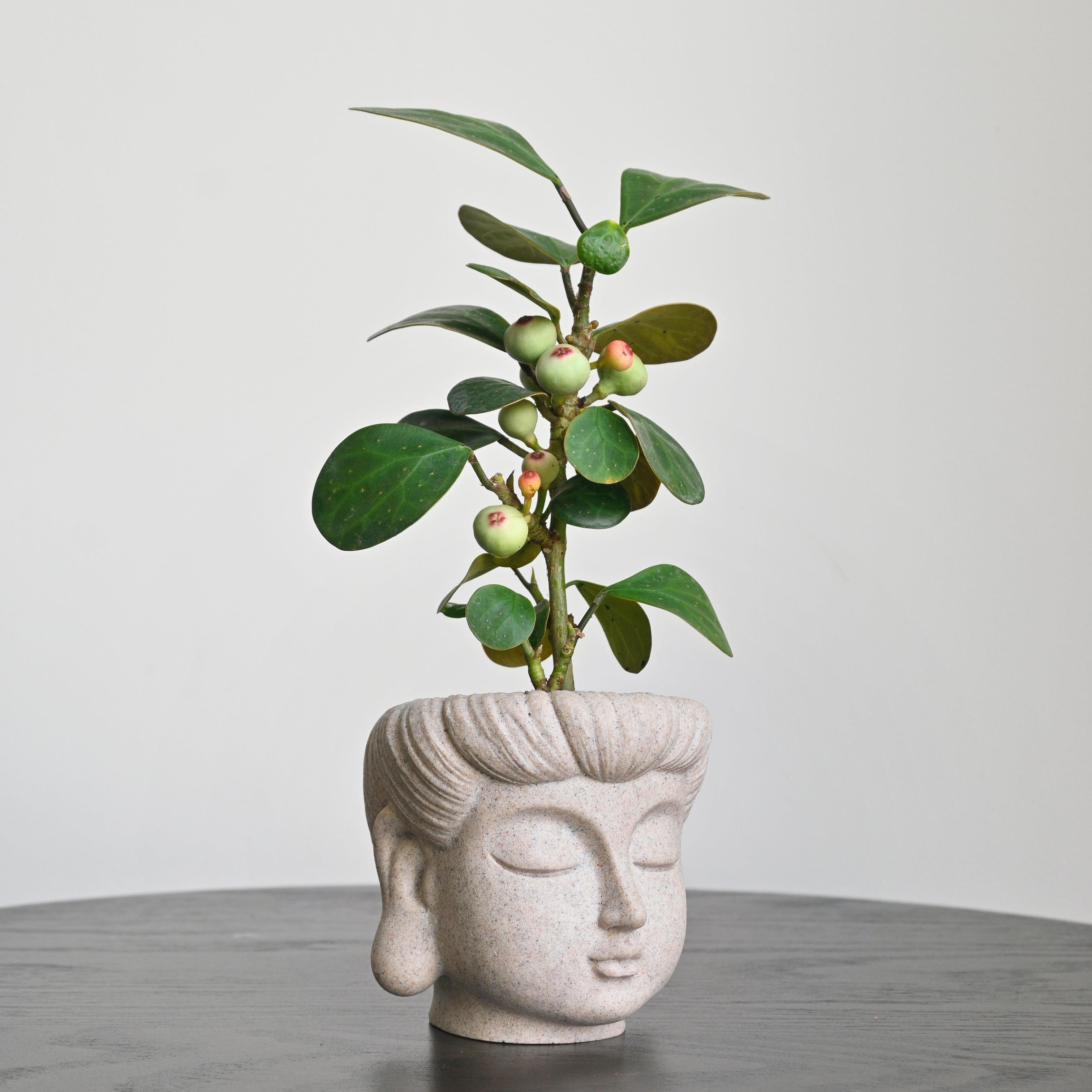 sculpture plant pots Buddha Statue Planter