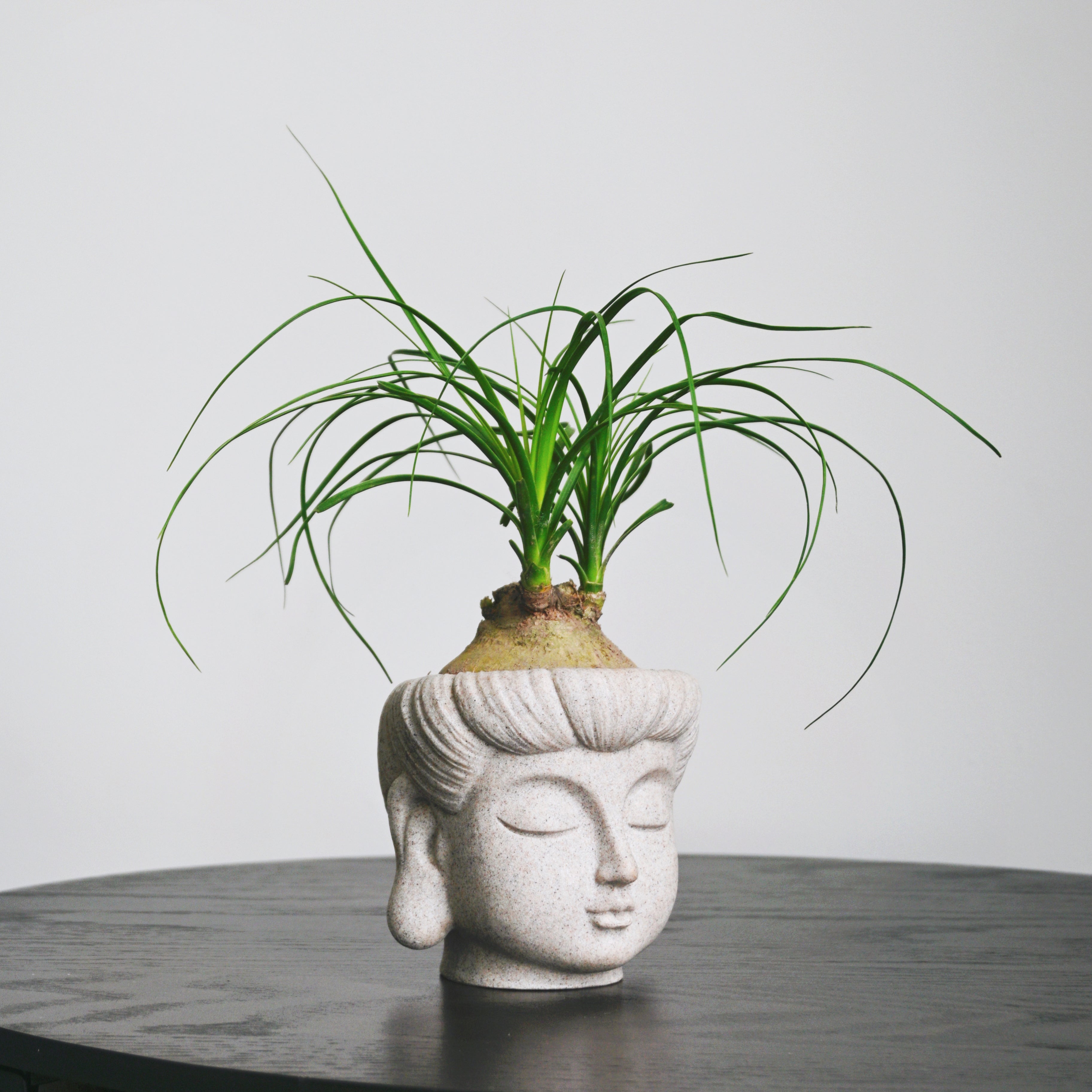 indoor buddha planter Buddha Statue Planter