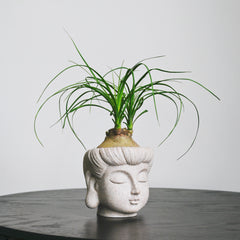 buddha pot planter Buddha Statue Planter