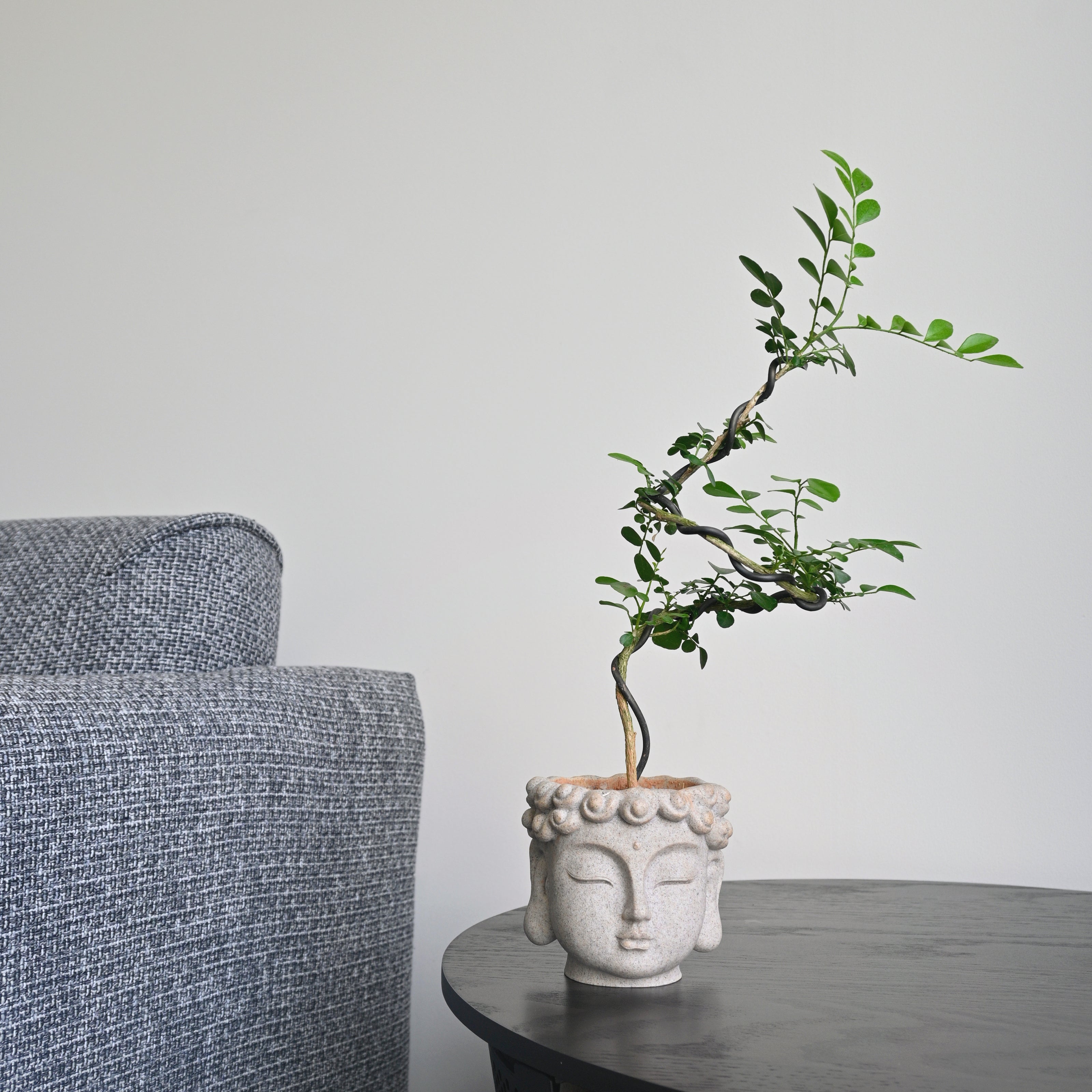 indoor buddha planter Buddha Statue Planter
