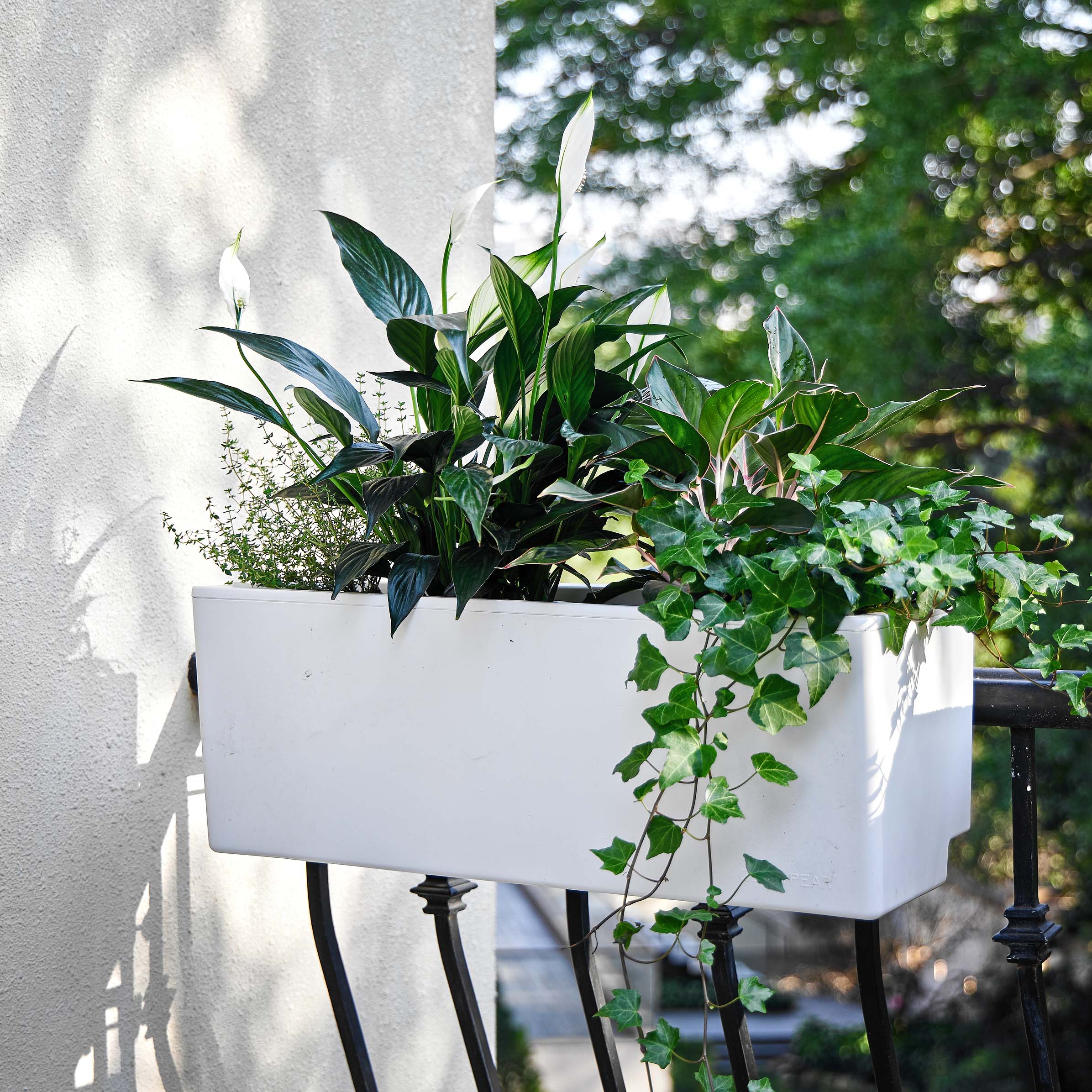hanging rail for plants 23.6 in. x 10.7 in Plastic Mini Rail Planter