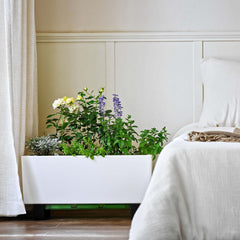 glowpear self watering planter Mini Bench