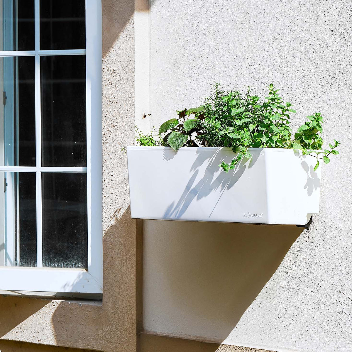 wall mounted self watering planter Mini Wall -Efficient, Stylish & Versatile Vertical Design