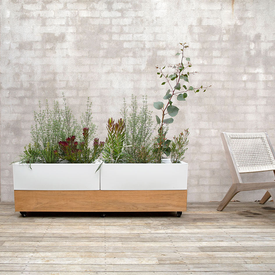 Cafe Planter