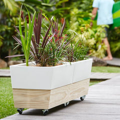 Raised Self Watering Vegetable Planter On Wheels