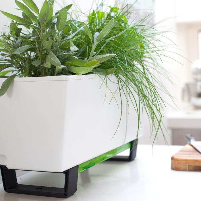 Mini Bench Modern Indoor Planter