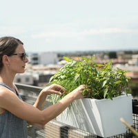 Women Tending to Plants in Modern Balcony Planter