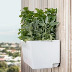 Glowpear Self-Watering Balcony Planter