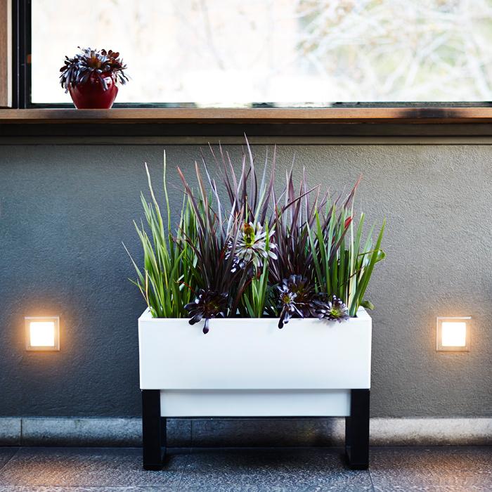 Modern Indoor Planter