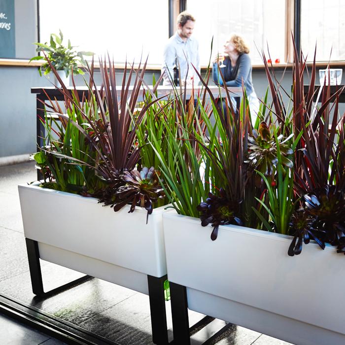 Two Modern Self Watering White Planter Boxes